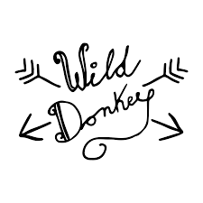 Wild Donkey